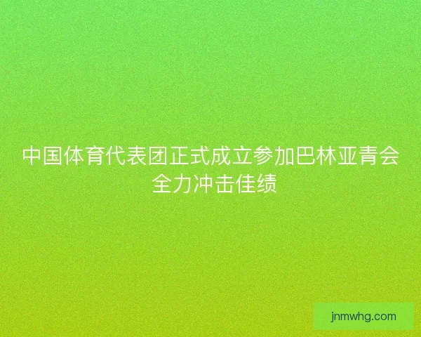 中国体育代表团正式成立参加巴林亚青会 全力冲击佳绩