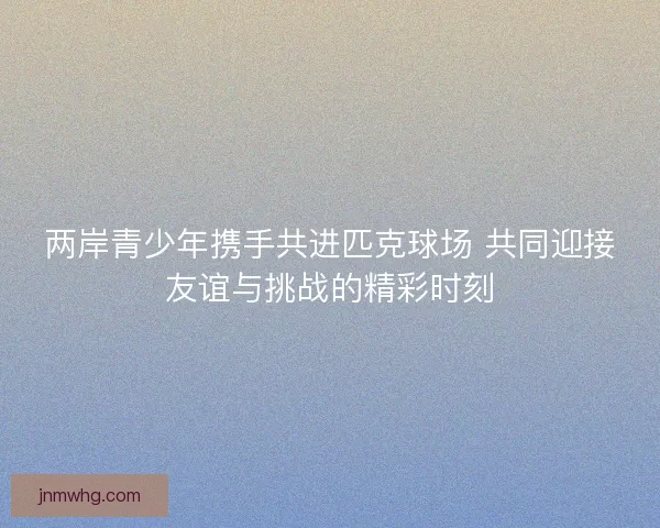 两岸青少年携手共进匹克球场 共同迎接友谊与挑战的精彩时刻 两岸青少年携手共进匹克球场 共同迎接友谊与挑战的精彩时刻
